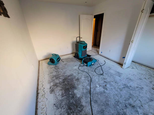Reliable Oakmont, PA Water damage restoration Solutions