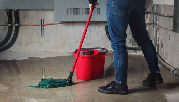Best Carpet water damage restoration  in Oakmont, PA