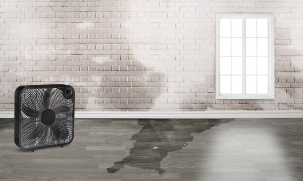 Best 24/7 water damage repair  in Oakmont, PA
