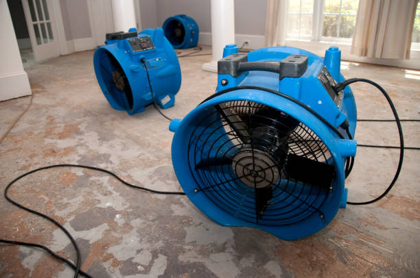 Best 24/7 water damage repair  in Oakmont, PA