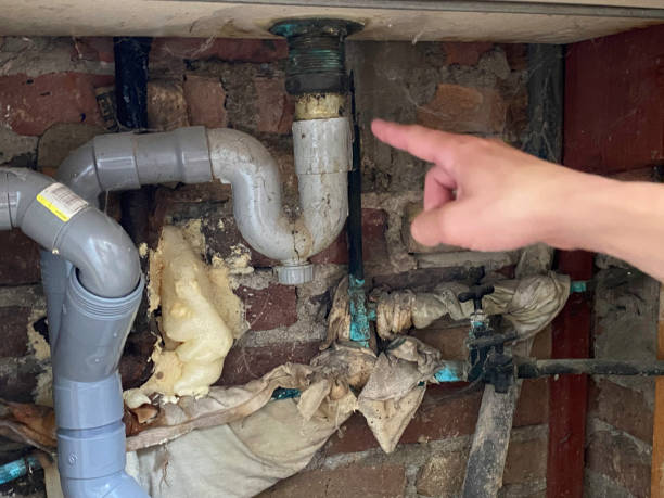 Best 24-hour water damage restoration  in Oakmont, PA