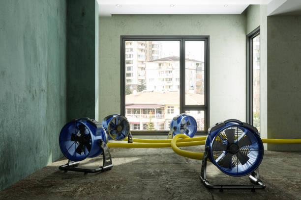 Best Sewage cleanup and water damage restoration  in Oakmont, PA