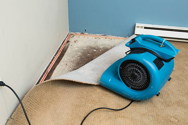 Best Flood damage cleanup  in Oakmont, PA
