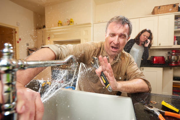Best Mold removal after water damage  in Oakmont, PA
